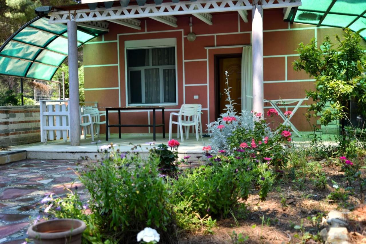 Villas Apartments Shahaj Vlorë 외부 사진